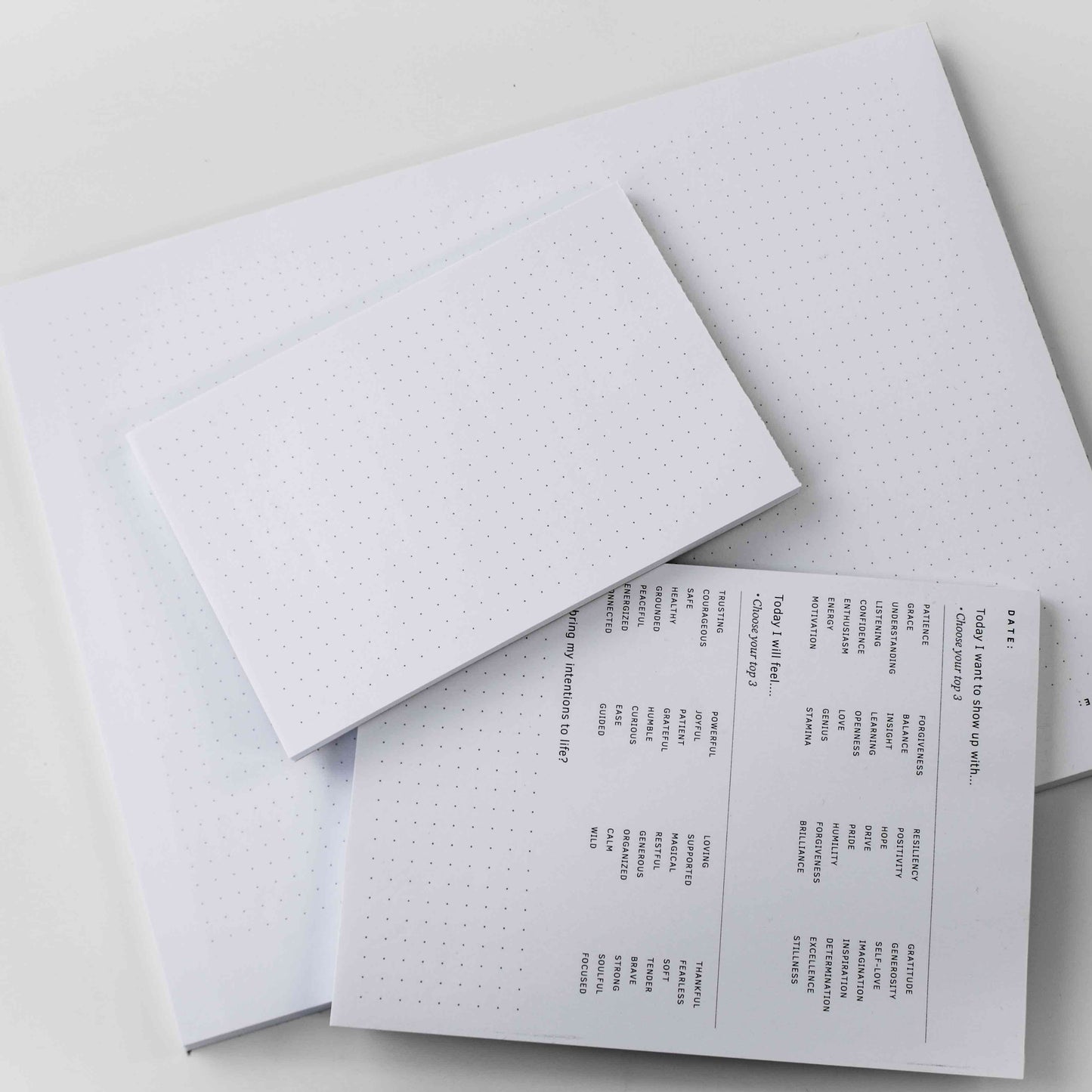 The ONE Book Large Dot Grid Notepad