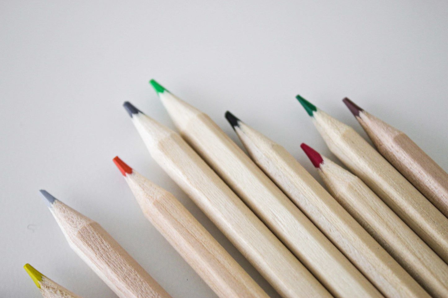 The ONE Book - Coloured Pencils Closeup