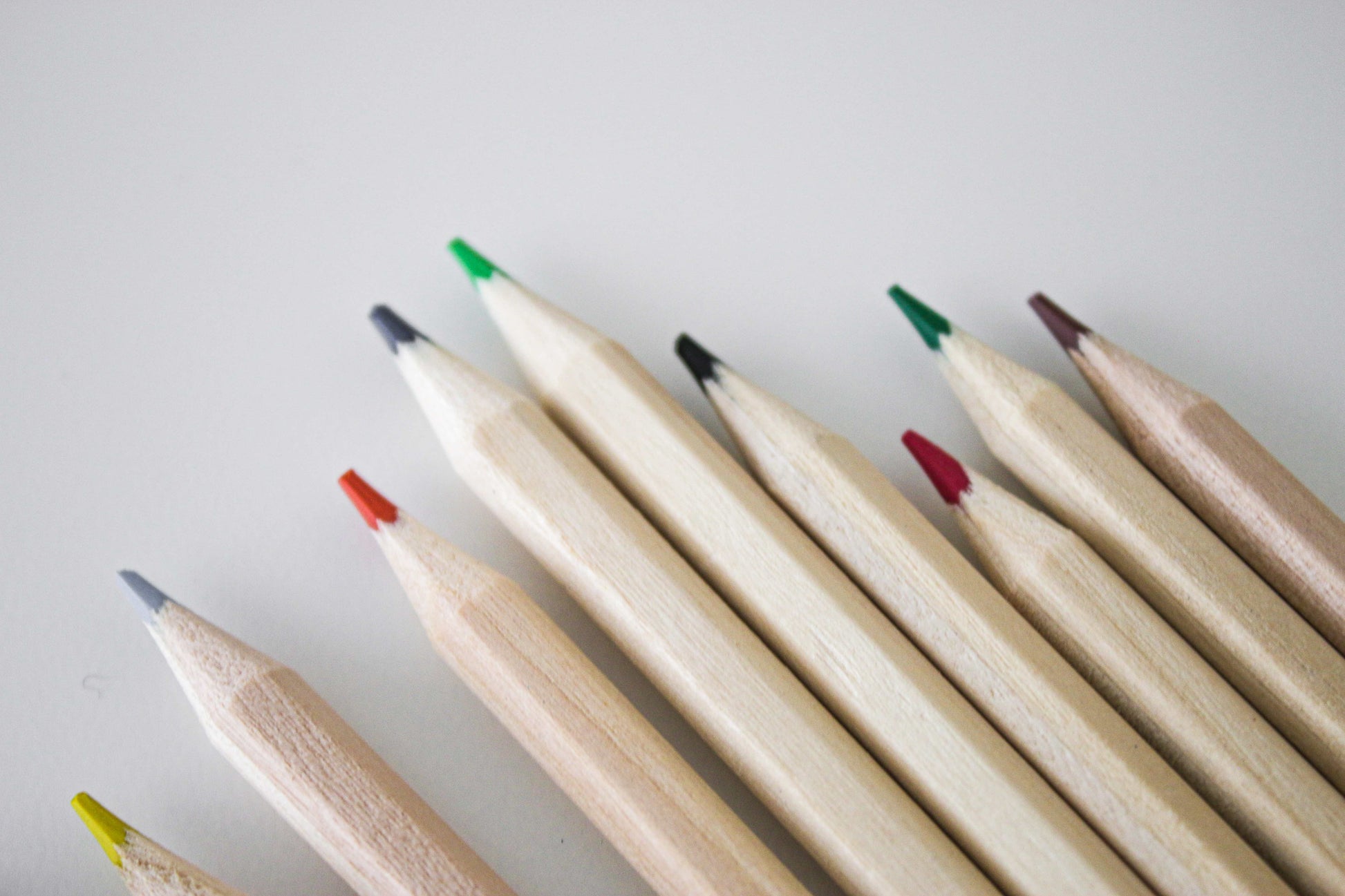 The ONE Book - Coloured Pencils Closeup