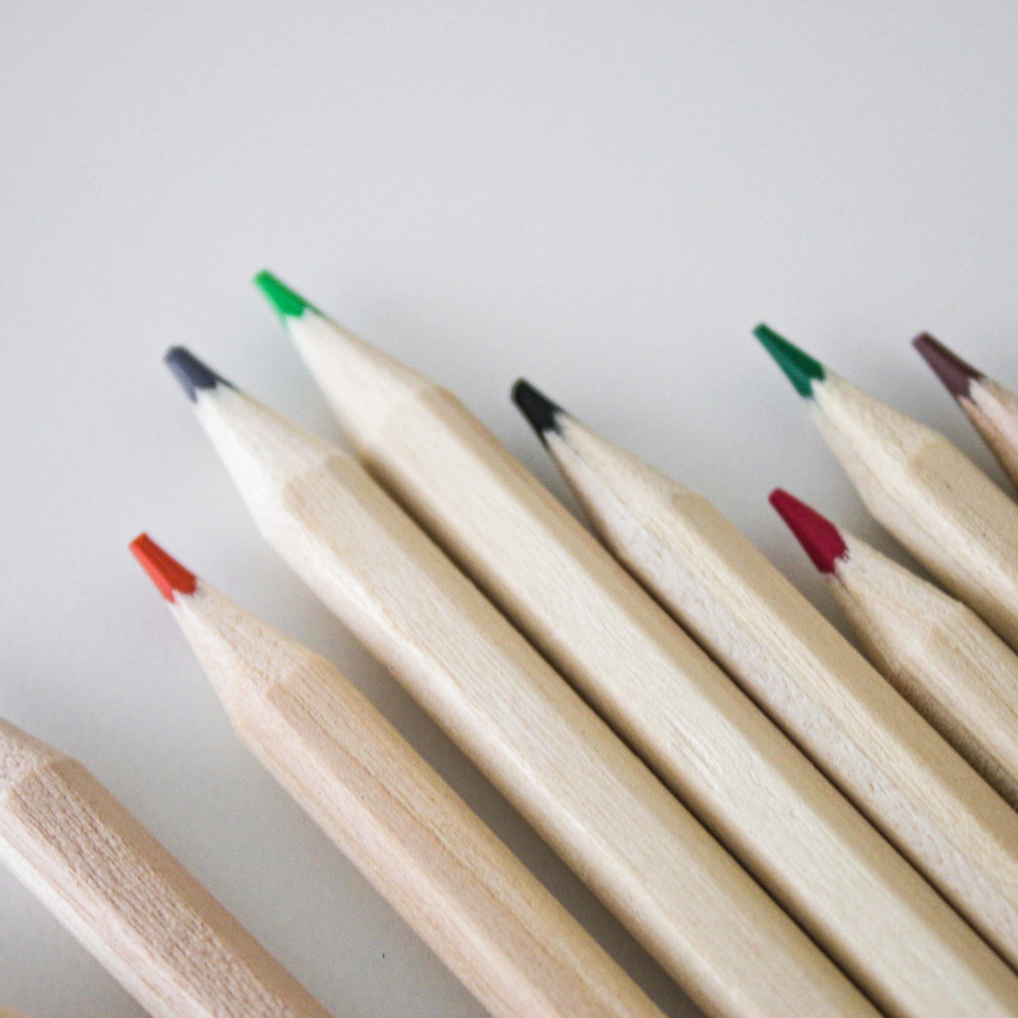 The ONE Book - Coloured Pencils Closeup