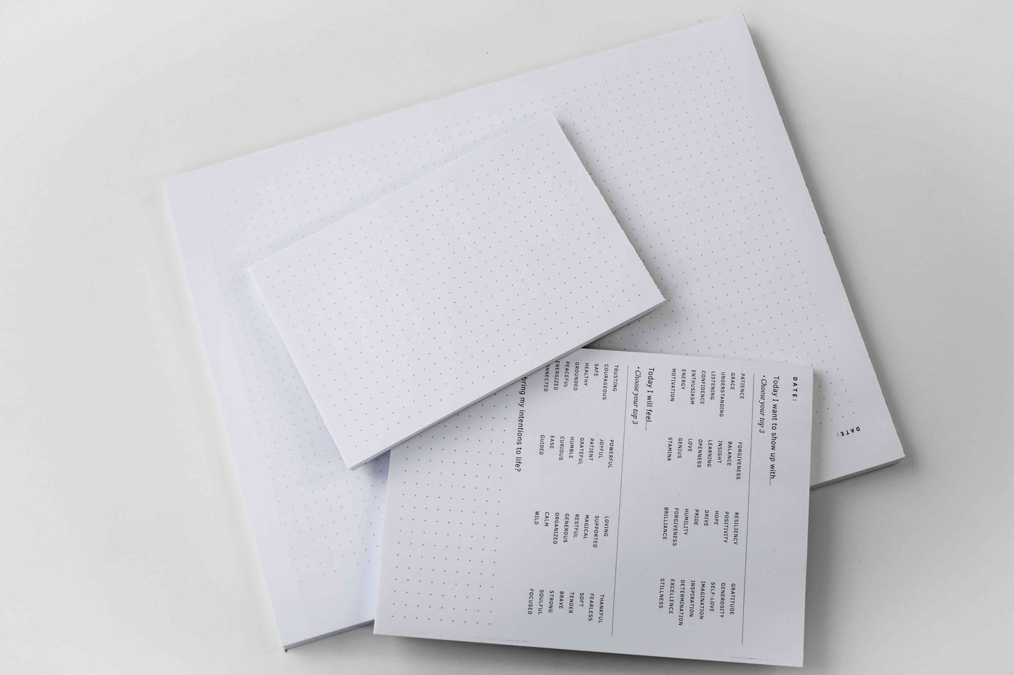 The ONE Book Large Dot Grid Notepad
